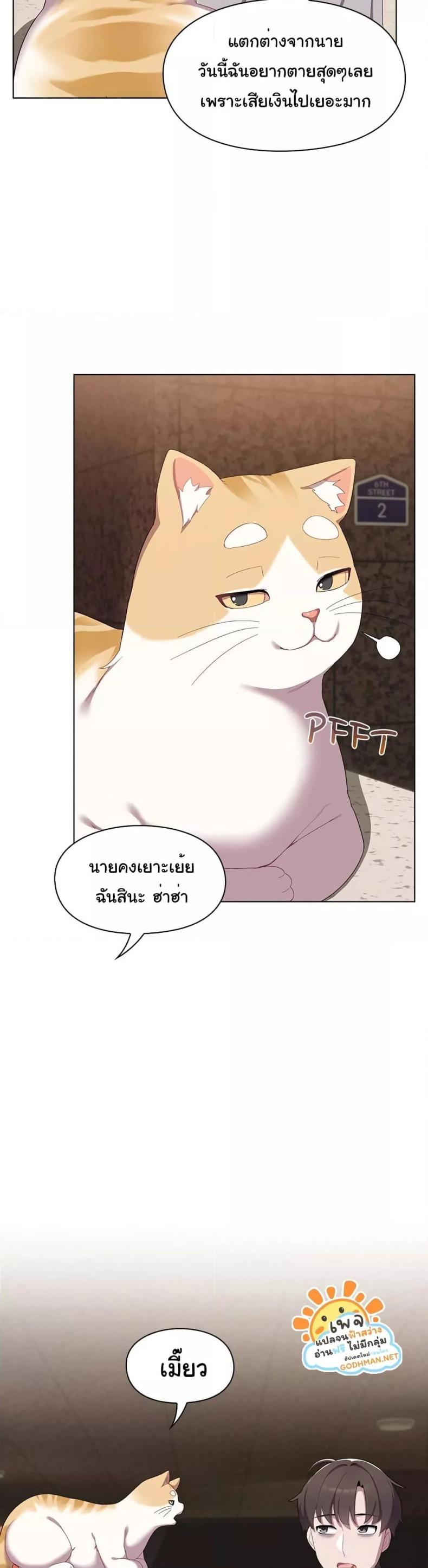 The Love Meowtchmaker 1 ภาพที่ 20