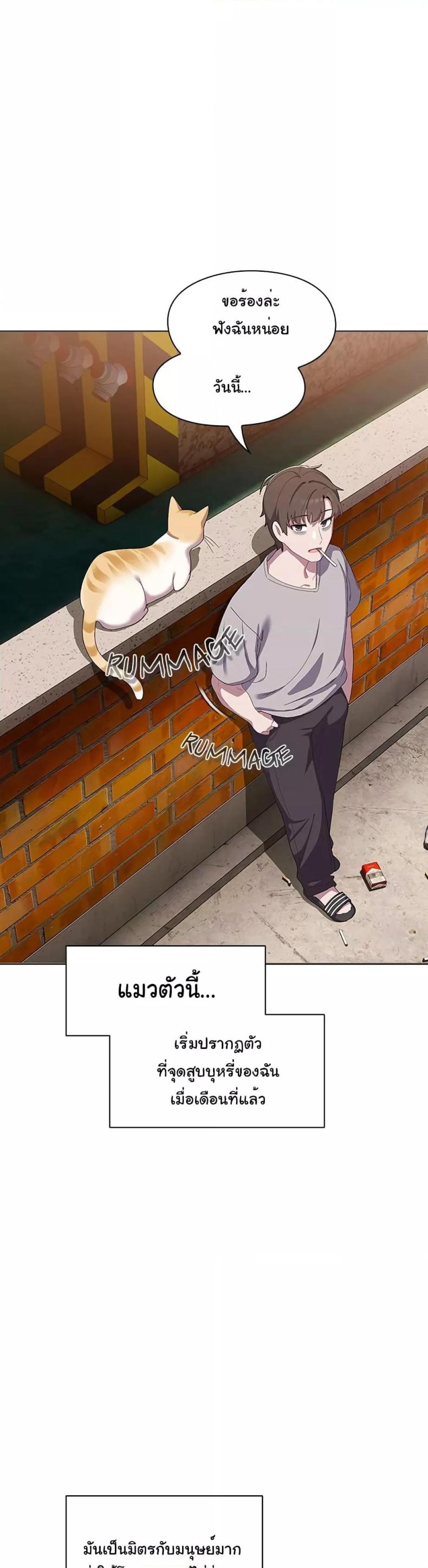 The Love Meowtchmaker 1 ภาพที่ 22